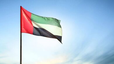 UAE announces arrival of first aid ship to Gaza via maritime corridor