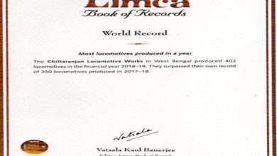 33-year-old Dubai bizwoman in Limca book of records for maximum Disney toys