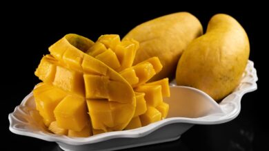 Top 8 varieties of mangoes in India: Know must-tries from Telangana, AP, Kerala