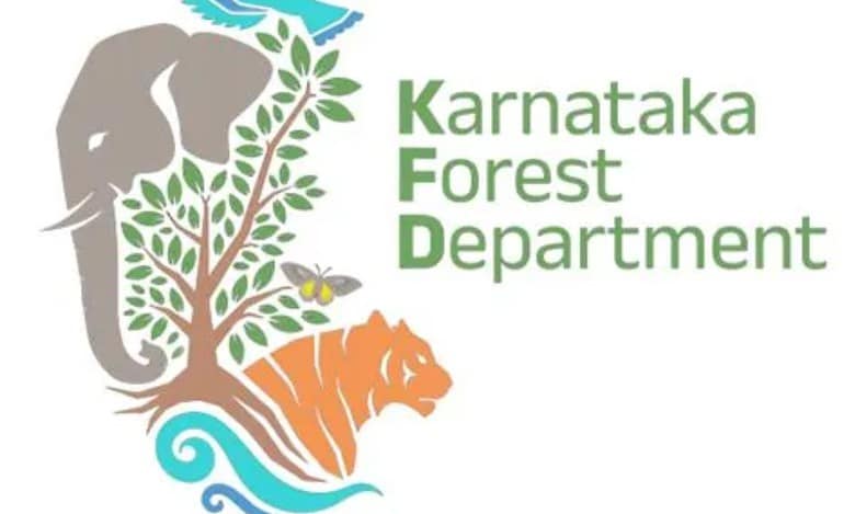 Karnataka forest dept steps up efforts to recover wildlife artefacts