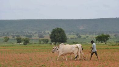State government constitutes Telangana Agriculture and Farmers Welfare Commission with seven members and a chairman.