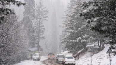 Snowfall in J&K's Gulmarg