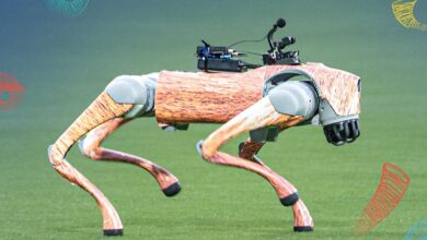 Meet Champak, the dog who is taking over IPL 2025 fields