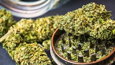 Representational Image of Ganja