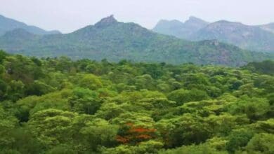 The forest land ownership tussle between the Multanis of Adilabad and the forest department comes to the fore again.