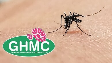 A mosquito biting a human