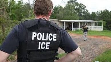 An Immigration and Customs Enforcement agent