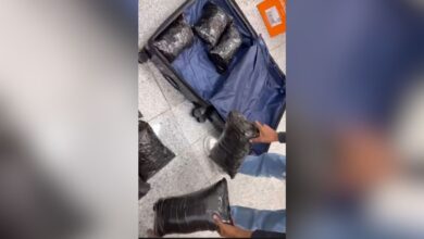 Passengers from Bangkok caught with Rs 8.9 crore ganja at Hyderabad airport