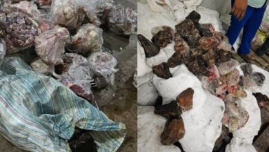 Image shows rotten meat in bags