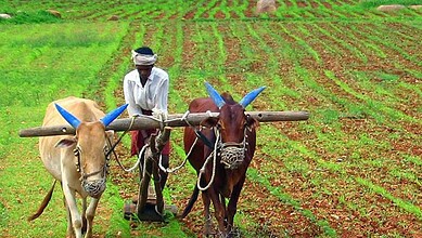 Telangana activists warn Congress against failing to deliver its promise on the implementation of the tenant farmers' rights in the state.