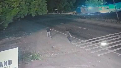 Two individuals walking along a roadside at night near a forested area.