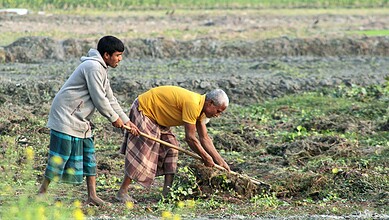 Two men working in a field during monsoon in Telangana, India.