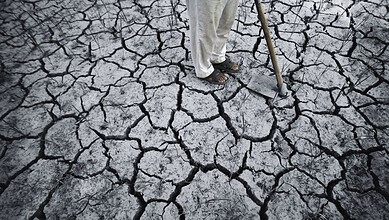Person walking on cracked dry earth during drought in Telangana, India.