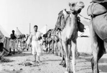 Walking the path of faith: A journey through the ancient haj routes