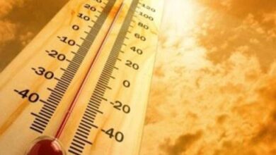 IMD issues heatwave warning to 4 states ahead amid LS polls