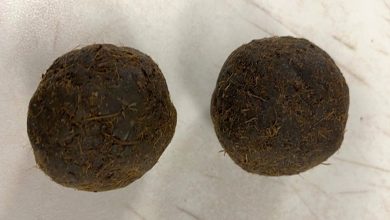 Cow dung cakes found in Indian man’s luggage in US