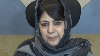 NC left us with no option other than to contest all 3 LS seats in Kashmir: Mehbooba