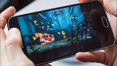 Govt proposes self-regulation for online gaming cos, gamers' verification; forbids betting
