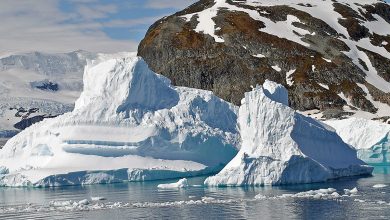 UN agency confirms 18.3C record heat in Antarctica