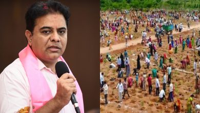 3 cr saplings to be planted on July 24 marking KTR's birthday