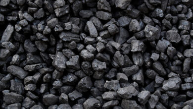 Coal worth Rs 23 cr discovered during I-T raid in Jharkhand