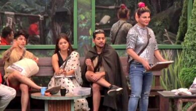 Bigg Boss 15: Makers to remove THIS contestant from the show