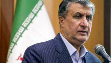 Iran 'entitled' to develop civilian nuke program: Atomic chief