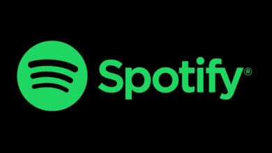 We'll take more local creators to global stage: Spotify India head