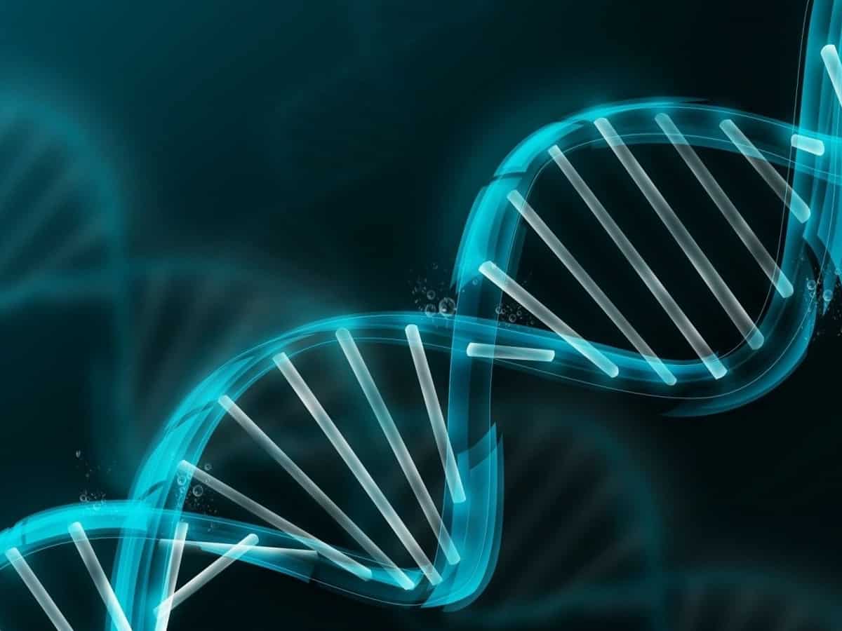 After 22 years, scientists have fully sequenced human genome