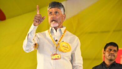 AP govt is run by maniacs, liars and corrupt criminals: Naidu