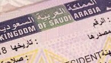 Saudi Arabia: Tourism Ministry monitors over 7,000 violations