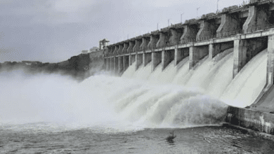 Lower Manair Dam