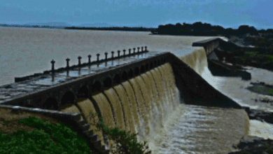 Telangana govt asked to release funds for GRMB by Jal Shakti ministry