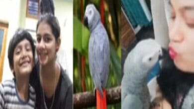 Karnataka: Family announces Rs 50 K reward for finding missing parrot