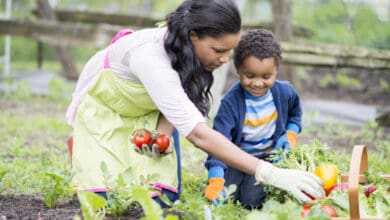 Gardening can promote better mental health: Study