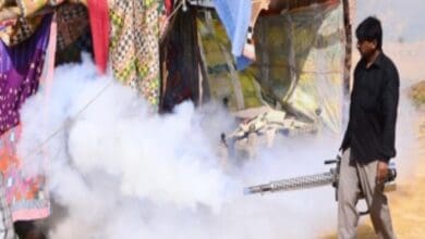 Dengue spread in Pakistan continues unabated