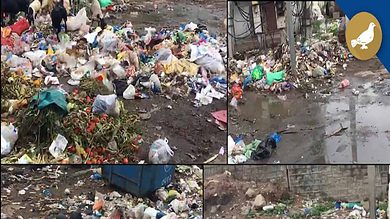 Hyderabad: Heaps of garbage pile up everywhere in Old City