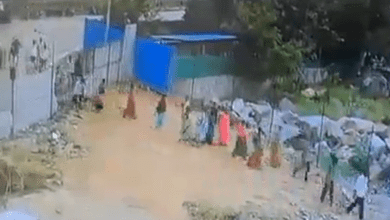Video: Trespassers damage Hyderabad's Qutb Shahi Mosque boundary