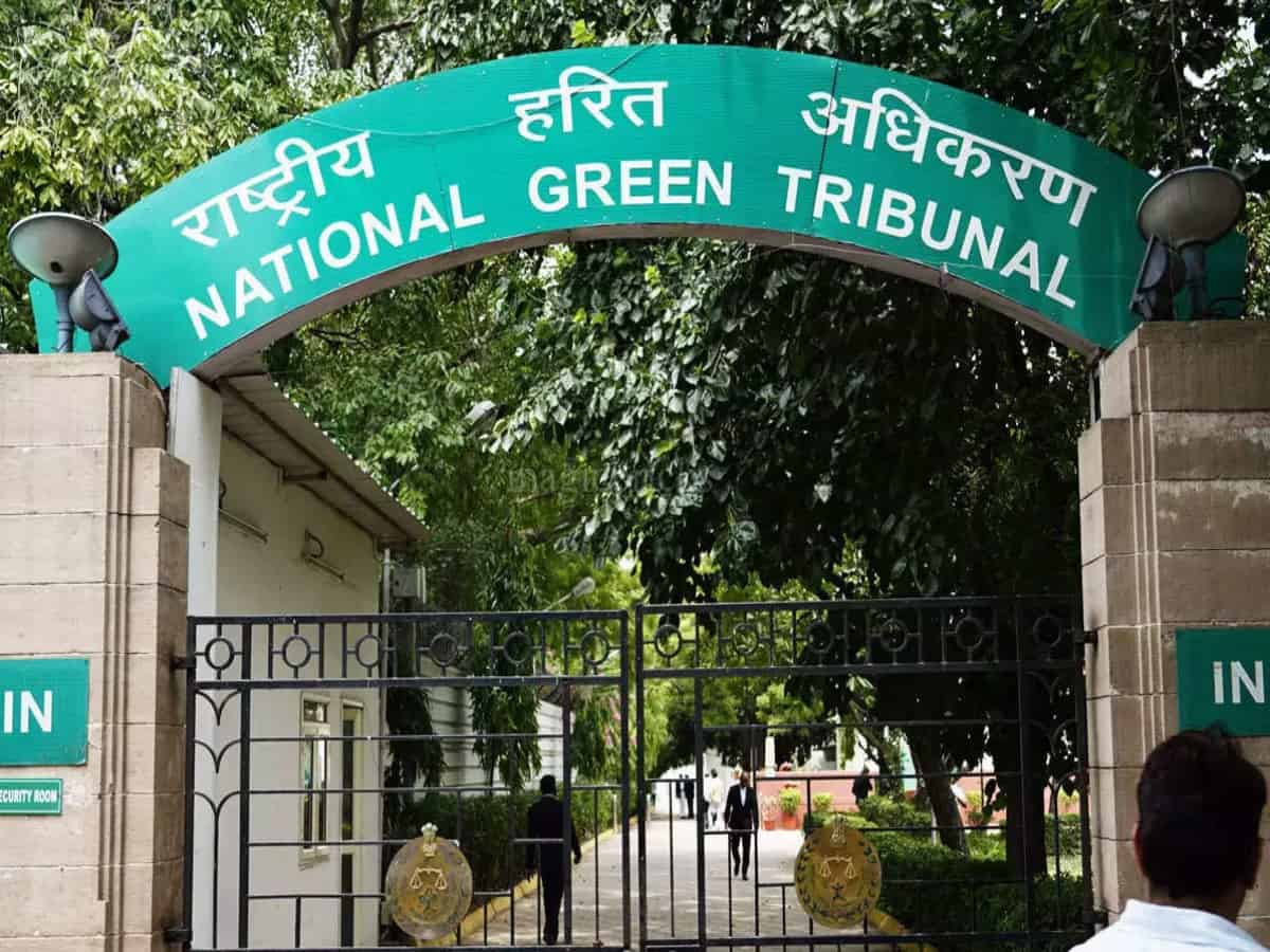Telangana: Nature lovers condemn NHAI for violating NGT order