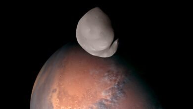 Sheikh Mohammed shares clearest image of Mars moon Deimos 