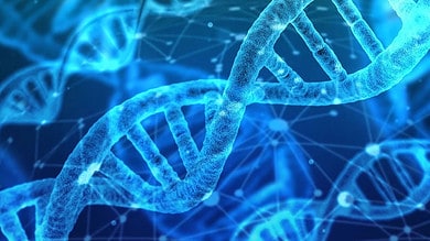 Chinese scientists develop new 'ultra precise' gene-editing tool