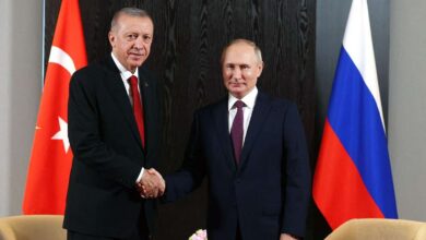 Erdogan discusses Ukrainian crisis with Russian President Putin