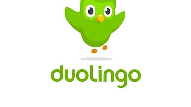 Over 8.4 mn people globally learning Hindi on Duolingo
