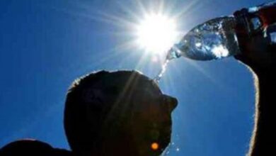 UAE sizzle over 50 degrees Celsius for first time in 2023