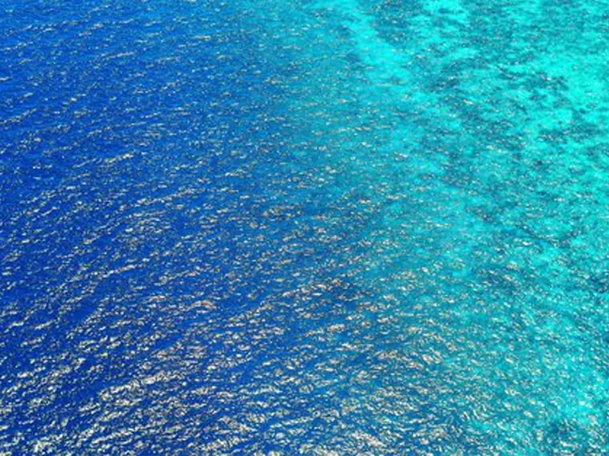 Warming climate changed colour of over 56% world's ocean: Study