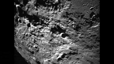 ISRO releases images of the Moon captured by Chandrayaan-3's Lander