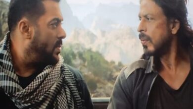 Tiger 3: SRK's role leaked, it has Pakistan's connect
