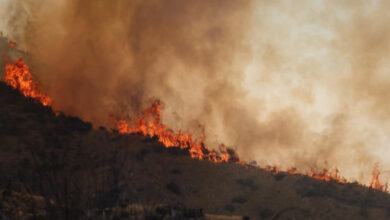 Wildfire raging in California, Nevada spreads to 94,009 acres