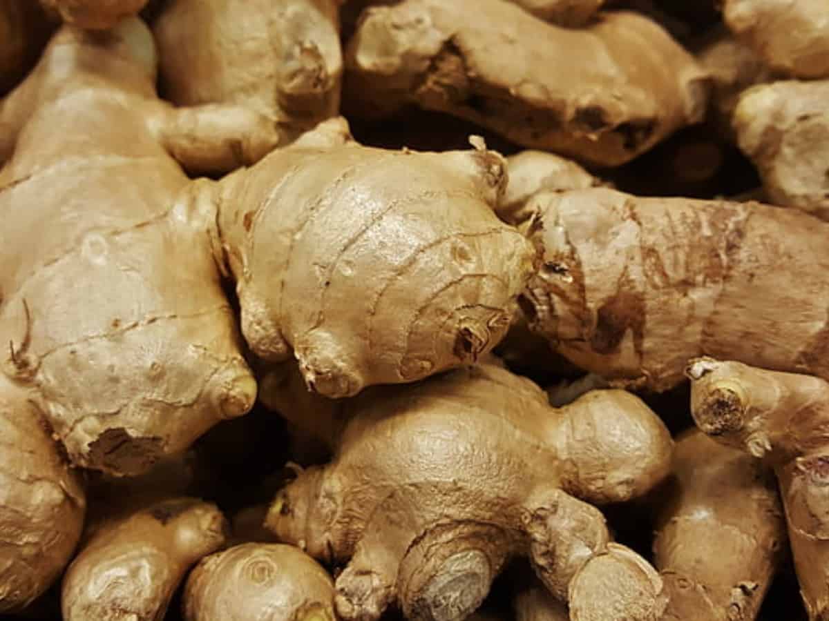 Ginger supplements can be beneficial in treating autoimmune diseases: Study