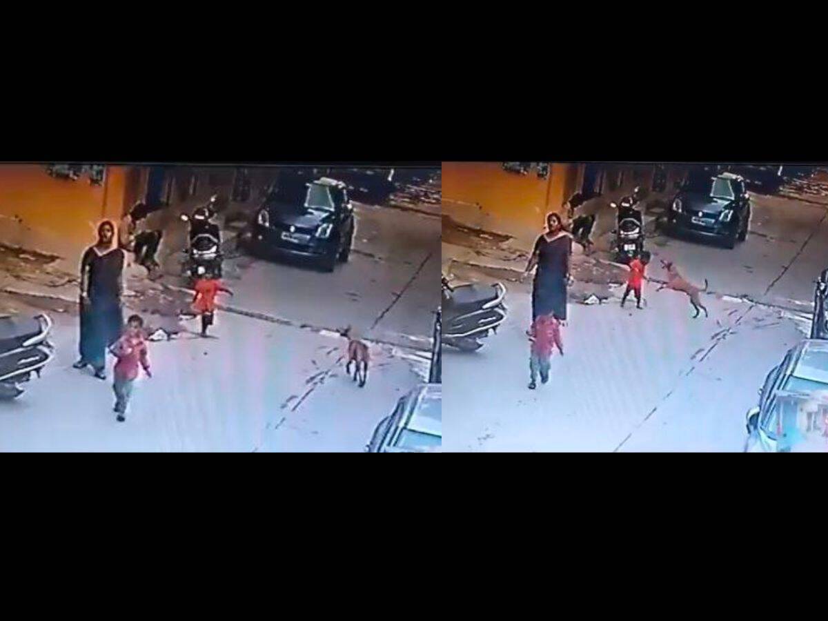 Watch: Stray dog pounces on the little kid in Hyderabad's Tappachabutra